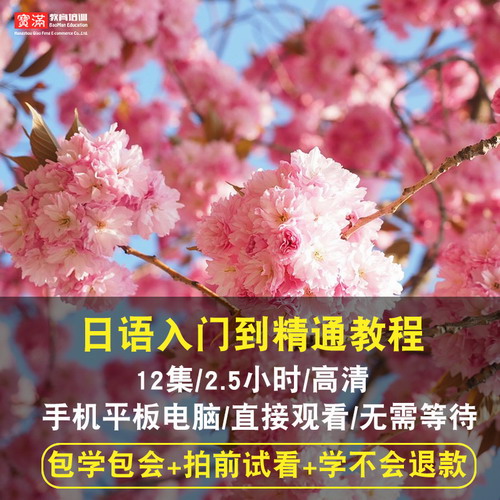 日语视频教程 零基础入门到精通自学全套
