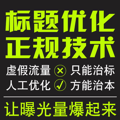 淘宝店铺宝贝标题制作组合 纯人工SEO