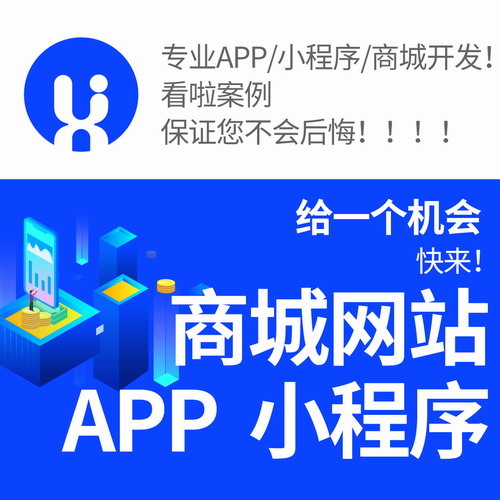 APP开发微信小程序商城网站 分销外卖系统