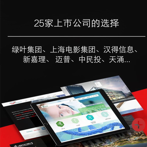 企业形象VI设计  网站建设 25家上市公司的选择