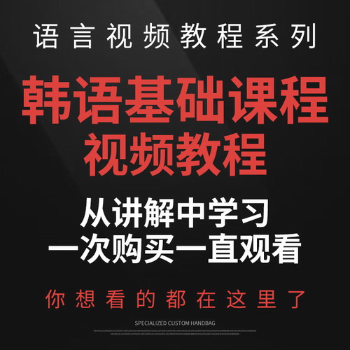 韩语教学视频教程网课程 基础入门初高中级