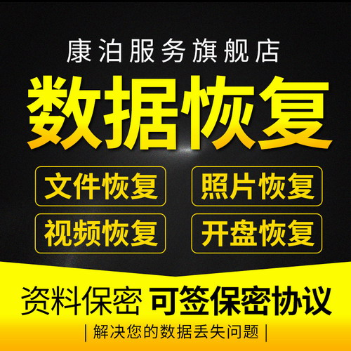 U盘sd卡照片文件修复数据恢复 远程 