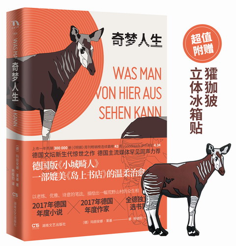 奇梦人生 玛丽安娜莱基 著 DFH 德国版小城畸人部媲美《岛上书店》的温柔之书