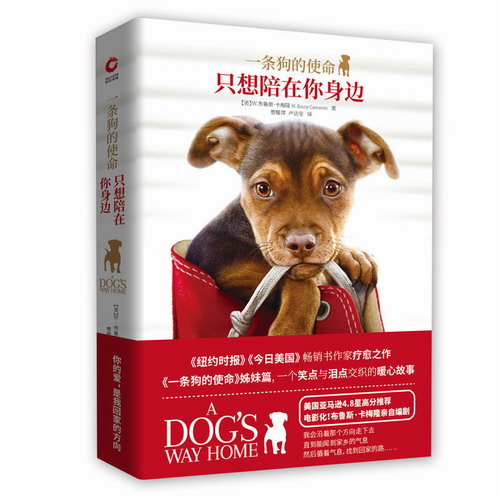 一条狗的使命 只想陪在你身边 W 布鲁斯卡梅隆电影