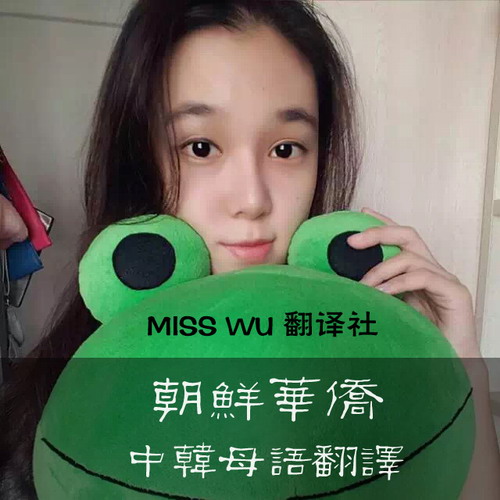 人工母语韩文韩语翻译 中韩专业笔译