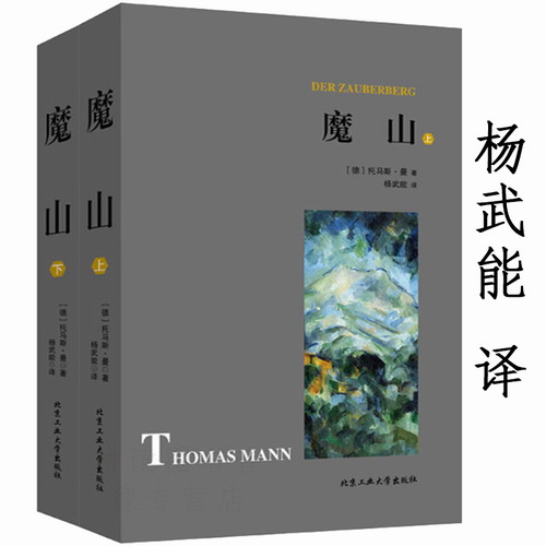 正版包邮 魔山 全两册 托马斯曼 杨武能 译