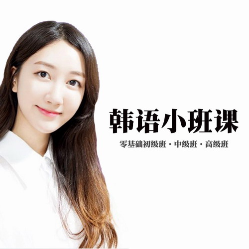 文聪韩语小班课程 在线零基础初级中高级