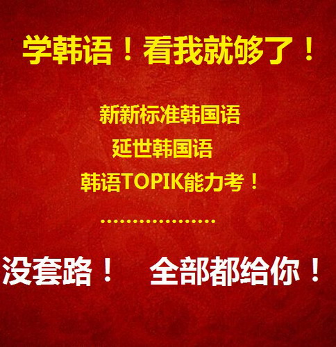 延世韩国语  新标准韩语零基础网课TOPIK考级