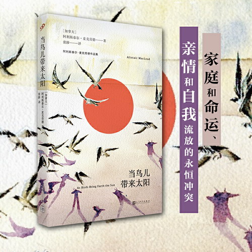 阿利斯泰尔·麦克劳德作品集：当鸟儿带来太阳