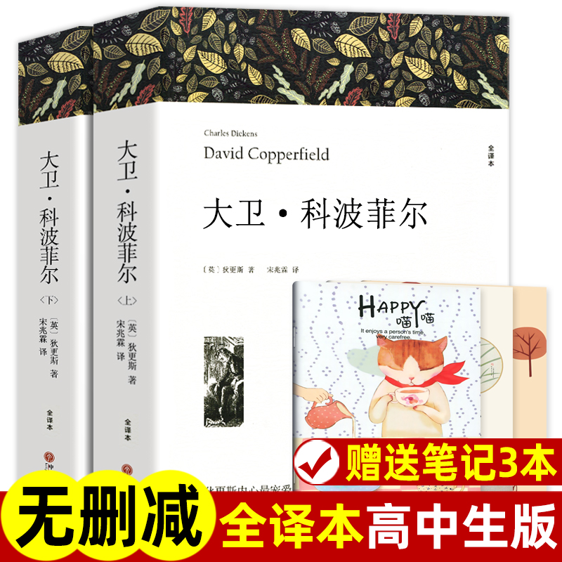 大卫科波菲尔 上下2册带注释