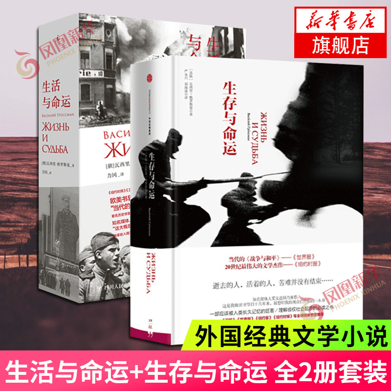 生存与命运 又名生活与命运 瓦西里格罗斯曼著作品集 