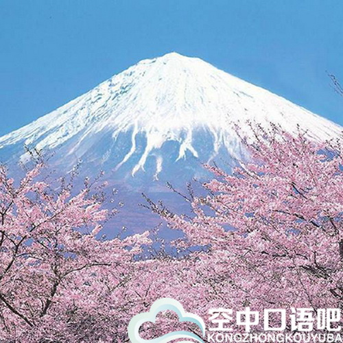 中教花子老师 日语口语一对一