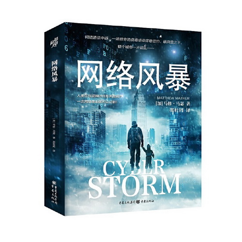 网络风暴 马修 马瑟 著 邵杜罔 译 灾难文学书销量100万册