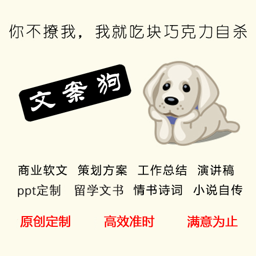 文案演讲稿 软文代笔 英文读后感总结