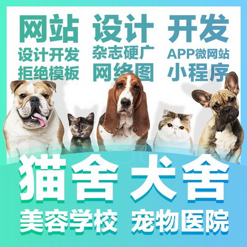 猫舍犬舍宠物网站建设  网页官网设计