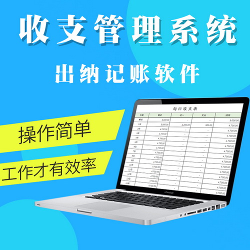 出纳做账软件 明细收支表格报告单报表