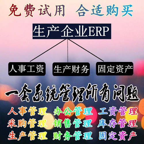 生产ERP 仓库进销存财务管理系统软件 网络版