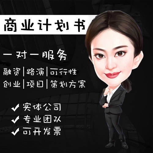 撰写商业BP融资计划书 代做企业方案  创业路演PPT