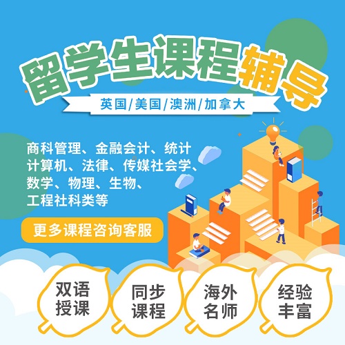 留学生essay 经济数学计算机工程辅导