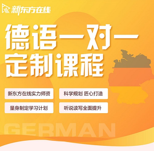 德语网课一对一直播课程 1对1辅导培训 欧标口语