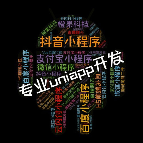 app抖音支付宝小程序 H5前端外包 VUE页面