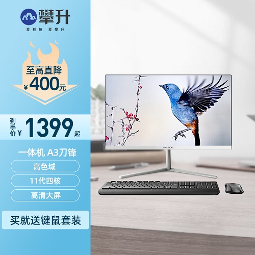 IPASON攀升A3刀锋一体机 11代四核家用办公商用 23.8英寸一体机电脑