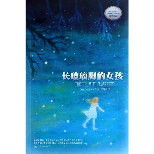 艾略特文学奖获奖作品 长玻璃脚的女孩 亚利·肖 著