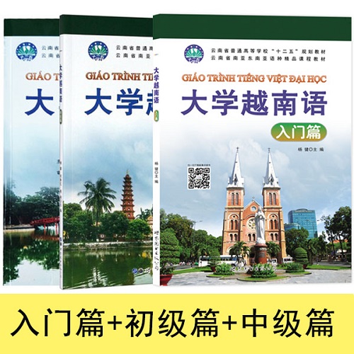附MP3音频 大学越南语 3册 入门篇 初级篇 中级篇