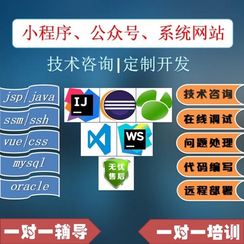 springboot+vue开发 软件定制开发