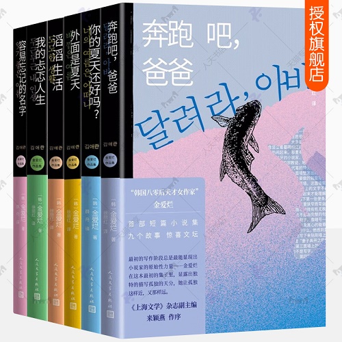 韩国文学小说 金爱烂作品集 全6册
