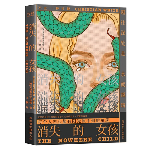 悬疑推理小说 消失的女孩 正版 克里斯蒂安·怀特 著
