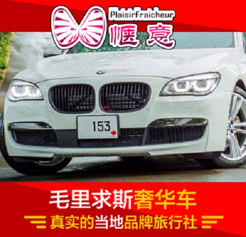 惬意旅游 奢华车 毛里求斯地接