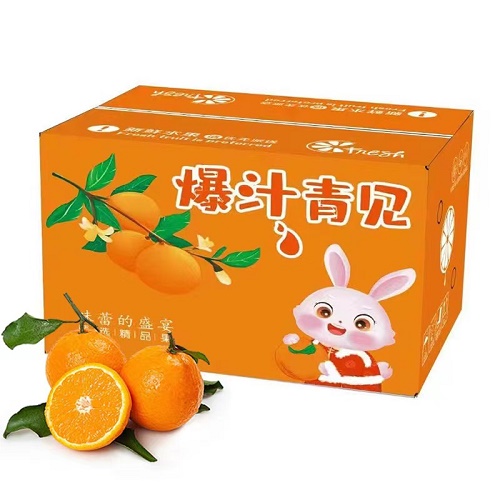 四川青见柑橘 现摘现发爆汁橙