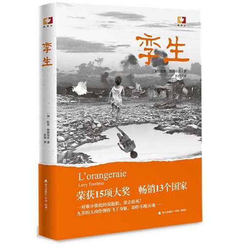 文学小说 孪生 (加) 拉里·特朗布雷 著