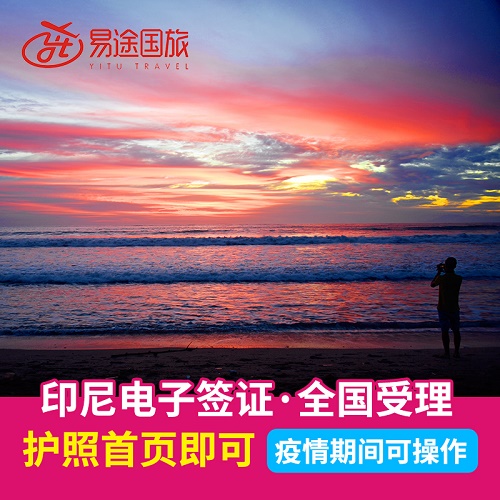 印尼签证商务电子加急 落地签证办理 全国保关