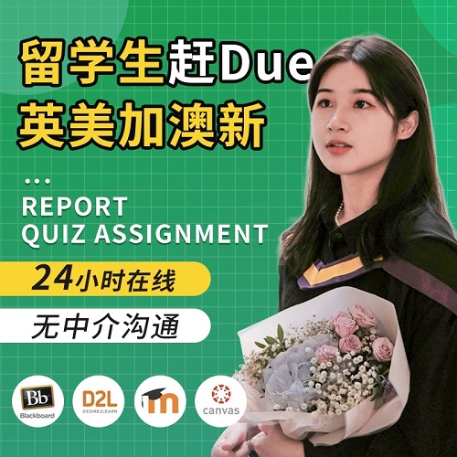 英文essay 经济会计量 社科金融管理 统计学商科辅导