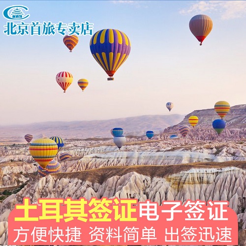 土耳其旅游电子签证办理 最快十分钟出签