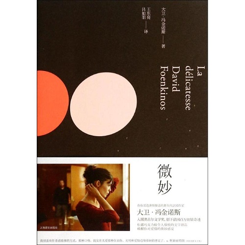 现代当代文学 微妙 大卫·冯金诺斯 著