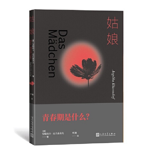 青春小说 姑娘 安格莉卡·克吕森朵夫 著