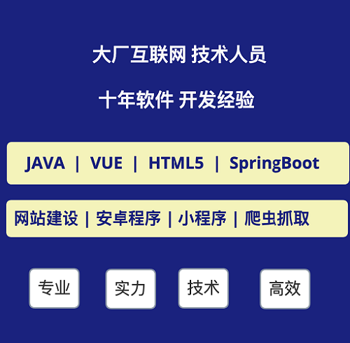 软件开发定制Java Vue BUG修复 网站部署