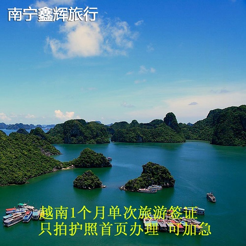 越南·一个月单次入境·南宁送签 电子资料落地直通
