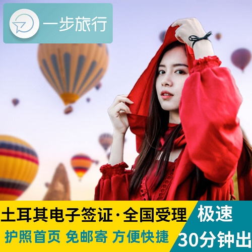 土耳其签证 个人旅游 旅行商务 长期180天多次往返