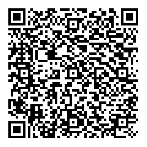 Apple/苹果 iPad mini 5代7.9寸平板电脑 mini6代5G。