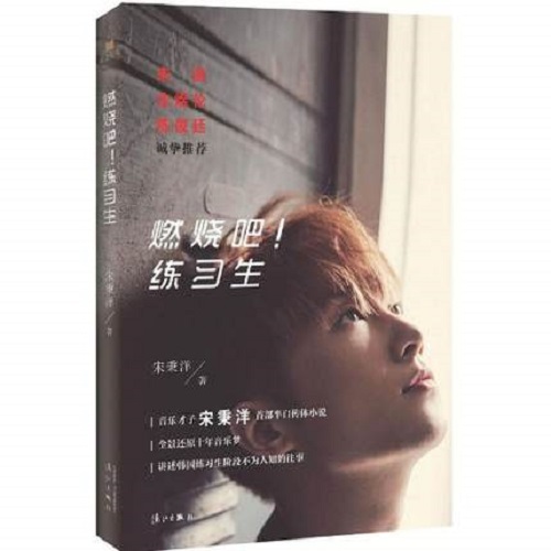 热卖长篇小说 燃烧吧！练习生 宋秉洋