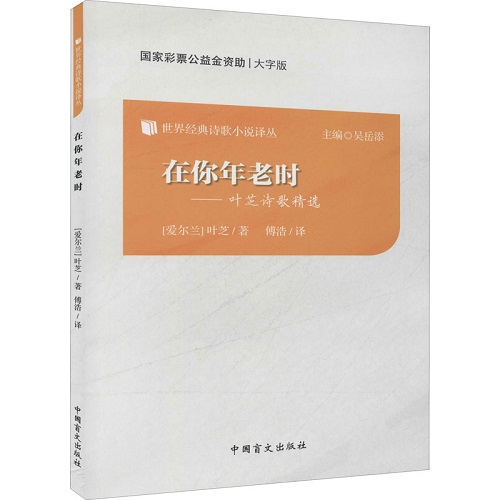 现当代诗歌文学 在你年老时 大字版 (爱尔兰) 叶芝 著