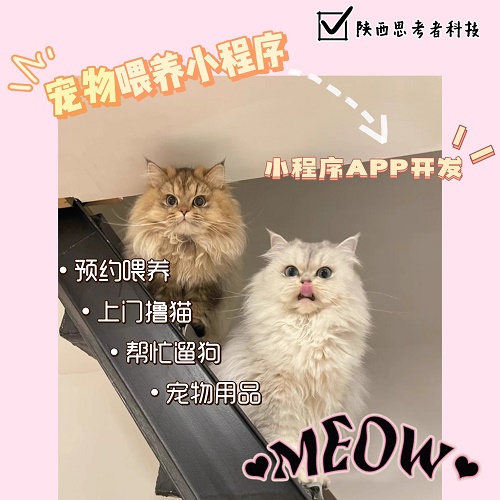 上门遛宠物 APP小程序定制