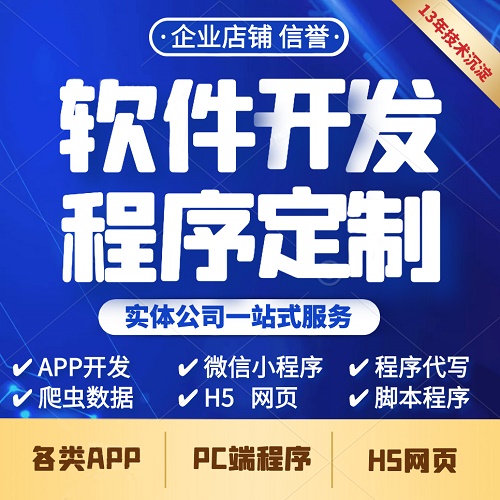 APP软件开发 小程序制作 web公众号商城