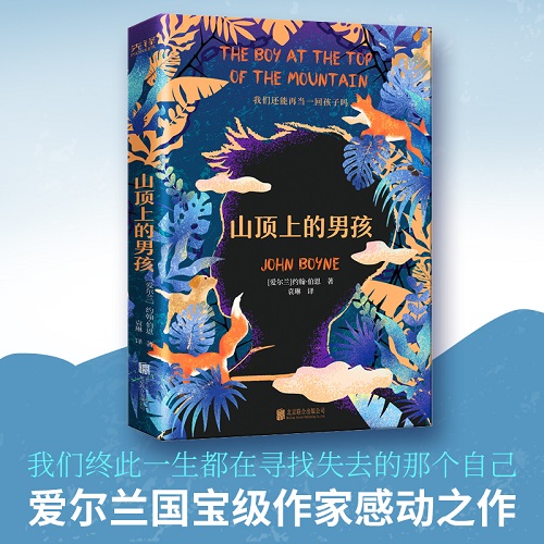 外国现当代文学 山顶上的男孩 约翰·伯恩