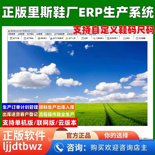 里斯鞋厂ERP生产管理软件系统 客户订单软件