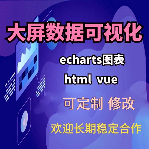 大屏数据可视化代做 echarts地图 vue后台管理